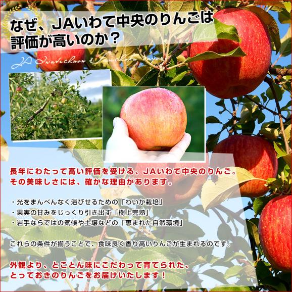 岩手県産 JAいわて中央　品種が選べる　極旨！樹上完熟りんご　約3キロ（10玉から12玉）送料無料 リンゴ アップル あっぷる04