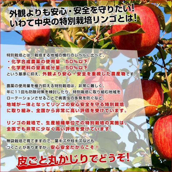 岩手県産 JAいわて中央 特別栽培りんご サンふじ 約3キロ（8玉から13玉入り）送料無料 林檎 リンゴ04