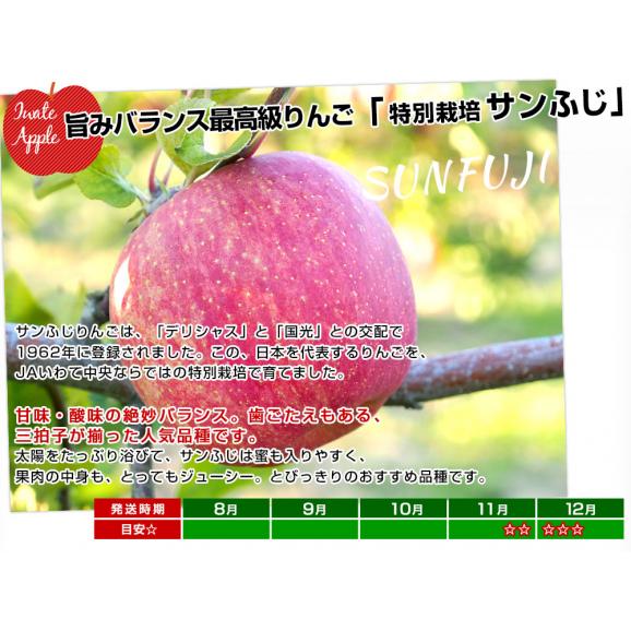 岩手県産 JAいわて中央 特別栽培りんご サンふじ 約3キロ（8玉から13玉入り）送料無料 林檎 リンゴ05