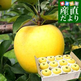 岩手県産 JAいわて中央 特別栽培りんご シナノゴールド 約3キロ（8玉から13玉入り）送料無料 林檎 リンゴ