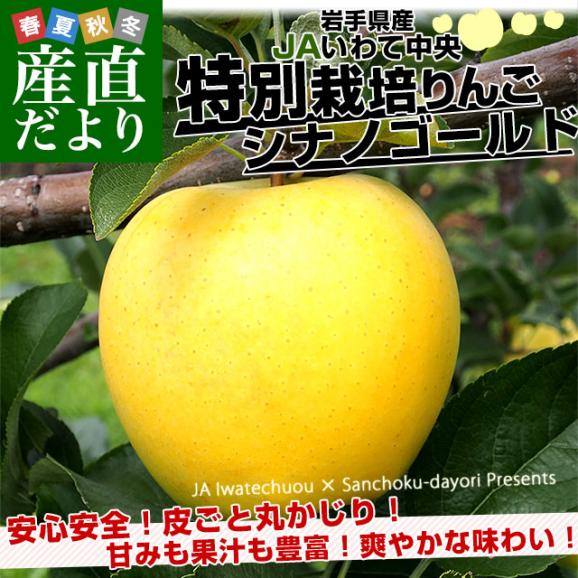 岩手県産 JAいわて中央 特別栽培りんご シナノゴールド 約3キロ（8玉から13玉入り）送料無料 林檎 リンゴ02