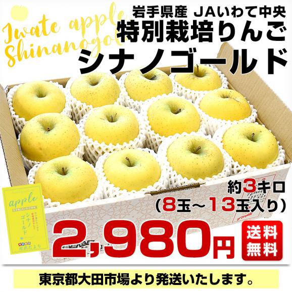 岩手県産 JAいわて中央 特別栽培りんご シナノゴールド 約3キロ（8玉から13玉入り）送料無料 林檎 リンゴ03