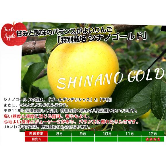 岩手県産 JAいわて中央 特別栽培りんご シナノゴールド 約3キロ（8玉から13玉入り）送料無料 林檎 リンゴ05