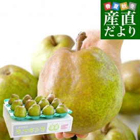 山形県産 ラフランス 5キロ秀品　大玉（12玉から14玉）送料無料 市場発送 ラ・フランス 洋なし 洋梨