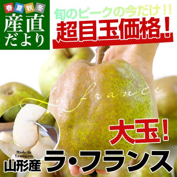 山形県産 ラフランス 5キロ秀品　大玉（12玉から14玉）送料無料 市場発送 ラ・フランス 洋なし 洋梨02