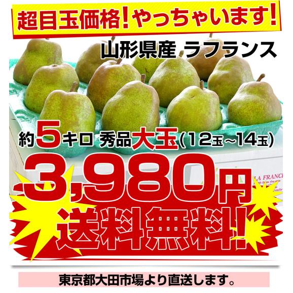 山形県産 ラフランス 5キロ秀品　大玉（12玉から14玉）送料無料 市場発送 ラ・フランス 洋なし 洋梨03