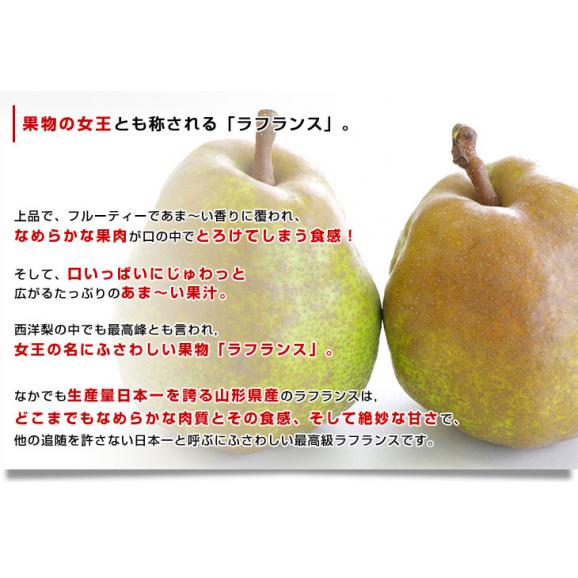 山形県産 ラフランス 5キロ秀品　大玉（12玉から14玉）送料無料 市場発送 ラ・フランス 洋なし 洋梨05