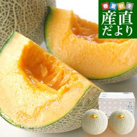 熊本県産 JA熊本市又はJA熊本うき クインシーメロン 超大玉 4Lから3Lサイズ 秀品 合計約2.5キロ (2玉入) 送料無料 赤肉 めろん メロン