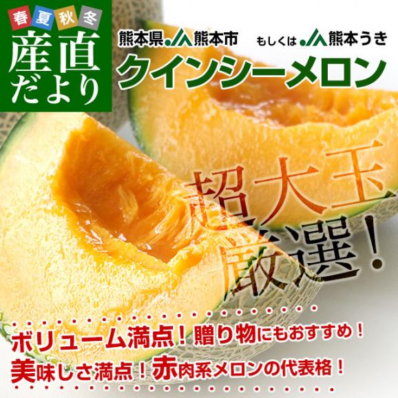 熊本県産 JA熊本市又はJA熊本うき クインシーメロン 超大玉 4Lから3Lサイズ 秀品 合計約2.5キロ (2玉入) 送料無料 赤肉 めろん メロン02