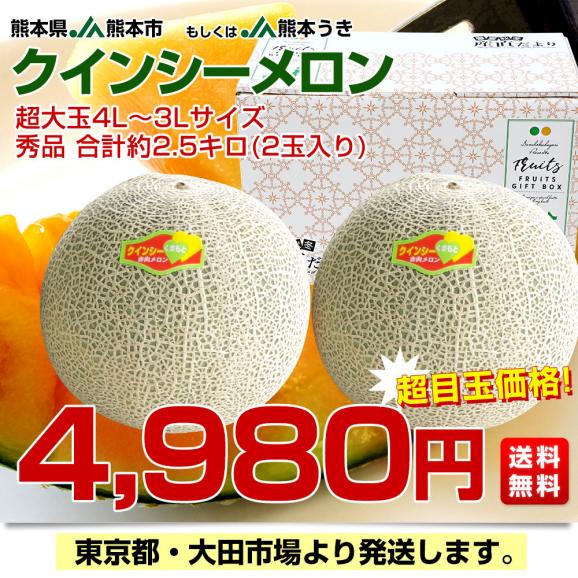 熊本県産 JA熊本市又はJA熊本うき クインシーメロン 超大玉 4Lから3Lサイズ 秀品 合計約2.5キロ (2玉入) 送料無料 赤肉 めろん メロン03