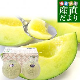 熊本県産 JA熊本市又はJA熊本うき アンデスメロン 4Lから3Lサイズ 秀品 約2.5キロ（2玉入） 送料無料 メロン 青肉