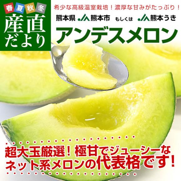 格安販売の 熊本県産 JA熊本市又はJA熊本うき 4Lから3L アンデスメロン 果物