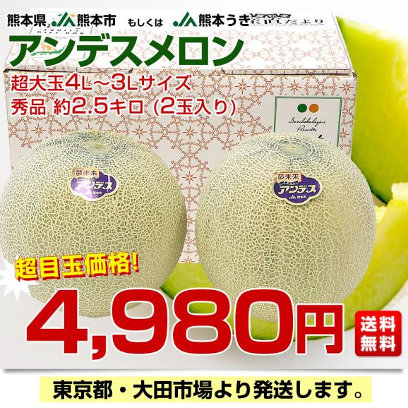 熊本県産 JA熊本市又はJA熊本うき アンデスメロン 4Lから3L 熊本県産 JA熊本市又はJA熊本うき アンデスメロン 4Lから3L