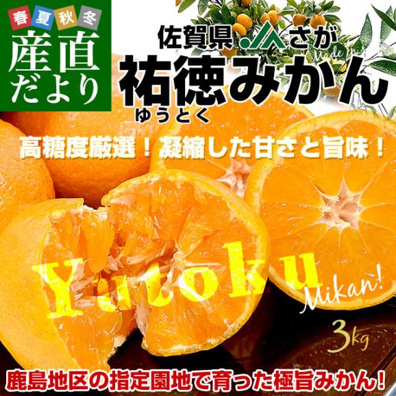 佐賀県より産地直送 JAさが 祐徳(ゆうとく)みかん LからSSサイズ 約3キロ化粧箱(24玉から48玉前後) 送料無料 早生みかん ギフト 黒箱 お歳暮 御歳暮02