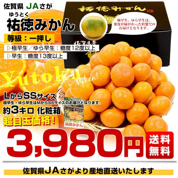 佐賀県より産地直送 JAさが 祐徳(ゆうとく)みかん LからSSサイズ 約3キロ化粧箱(24玉から48玉前後) 送料無料 早生みかん ギフト 黒箱 お歳暮 御歳暮03