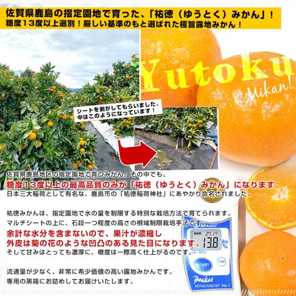 佐賀県より産地直送 JAさが 祐徳（ゆうとく）みかん 品種：寿太郎 等級：一押し LからSSサイズ 約3キロ化粧箱（22玉から48玉前後） 送料無料  ギフト 黒箱from九州04