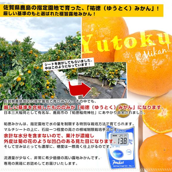 佐賀県より産地直送 JAさが 祐徳(ゆうとく)みかん LからSSサイズ 約3キロ化粧箱(24玉から48玉前後) 送料無料 早生みかん ギフト 黒箱 お歳暮 御歳暮05