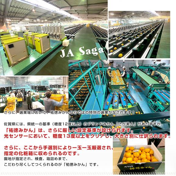 佐賀県より産地直送 JAさが 祐徳(ゆうとく)みかん 品種:寿 佐賀県より産地直送 JAさが 祐徳(ゆうとく)みかん 品種:寿
