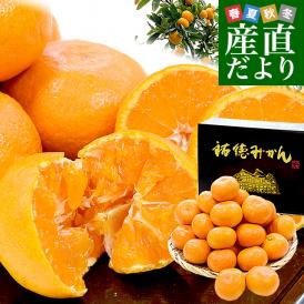 佐賀県より産地直送 JAさが 祐徳(ゆうとく)みかん 等級：一押し LからMサイズ 約3キロ化粧箱(22玉から30玉前後) 送料無料 早生みかん ギフト 黒箱