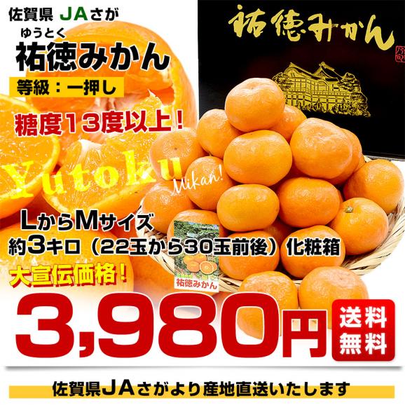 佐賀県より産地直送 JAさが 祐徳(ゆうとく)みかん 等級：一押し LからMサイズ 約3キロ化粧箱(22玉から30玉前後) 送料無料 早生みかん ギフト 黒箱03