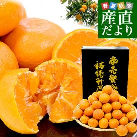 佐賀県より産地直送 JAさが 祐徳（ゆうとく）みかん 品種：寿太郎 等級：一押し LからSSサイズ 約5キロ化粧箱（40玉から80玉前後） 送料無料 ギフト 黒箱from九州
