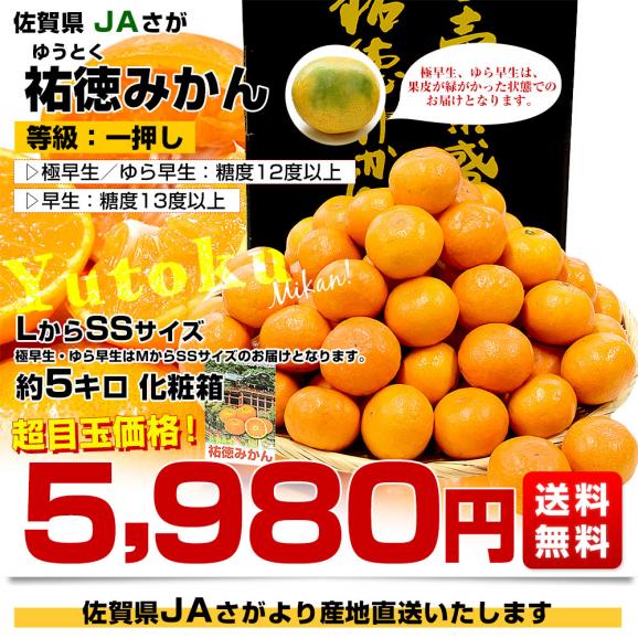 佐賀県より産地直送 JAさが 祐徳(ゆうとく)みかん LからSSサイズ 約5キロ化粧箱(40玉から80玉前後) 送料無料 早生みかん ギフト 黒箱 お歳暮 御歳暮03