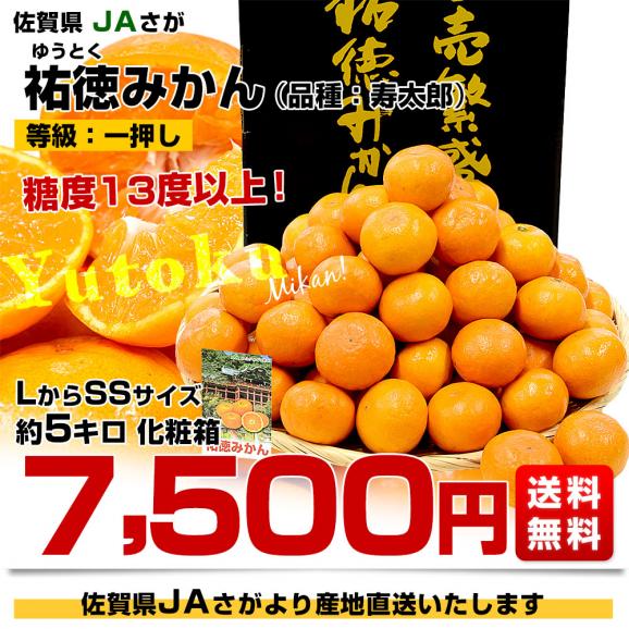 佐賀県より産地直送 JAさが 祐徳(ゆうとく)みかん 品種:寿 佐賀県より産地直送 JAさが 祐徳(ゆうとく)みかん 品種:寿