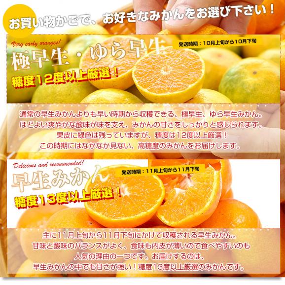 佐賀県より産地直送 JAさが 祐徳(ゆうとく)みかん  LからSSサイズ 約5キロ化粧箱(40玉から80玉前後) 送料無料 早生みかん ギフト 黒箱 04