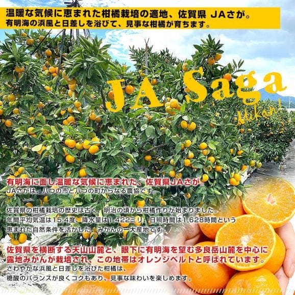 佐賀県より産地直送 JAさが 祐徳（ゆうとく）みかん 品種：寿太郎 等級：一押し LからSSサイズ 約5キロ化粧箱（40玉から80玉前後） 送料無料 ギフト 黒箱from九州05