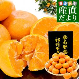佐賀県より産地直送 JAさが 祐徳(ゆうとく)みかん 等級：一押し LからMサイズ 約5キロ化粧箱(40玉から50玉前後) 送料無料 早生みかん ギフト 黒箱