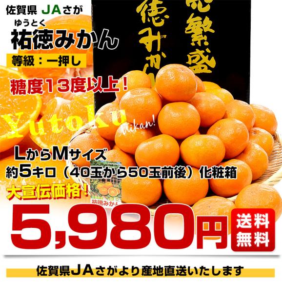 佐賀県より産地直送 JAさが 祐徳(ゆうとく)みかん 等級:一押し 佐賀県より産地直送 JAさが 祐徳(ゆうとく)みかん 等級:一押し
