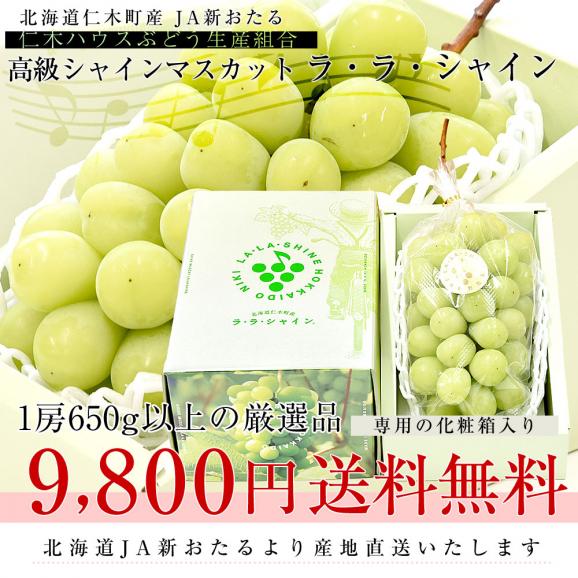 北海道から産地直送 JA新おたる 仁木ハウスぶどう生産組合 シャインマスカット「ラ・ラ・シャイン」1房(650g以上)化粧箱 送料無料 ギフト クール便03