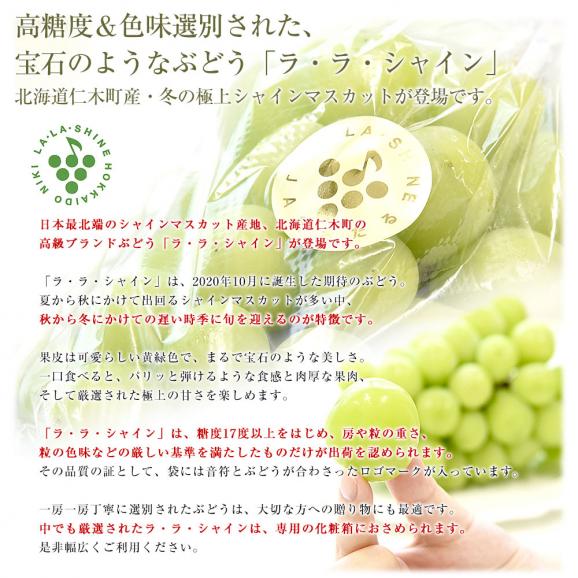 北海道から産地直送 JA新おたる 仁木ハウスぶどう生産組合 シャインマスカット「ラ・ラ・シャイン」1房(650g以上)化粧箱 送料無料 ギフト クール便04