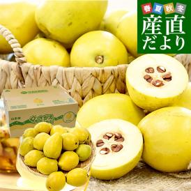 山形県産 かりん 約4キロ 秀品以上 LからMサイズ (12玉から16玉入り) 送料無料 花梨 カリン