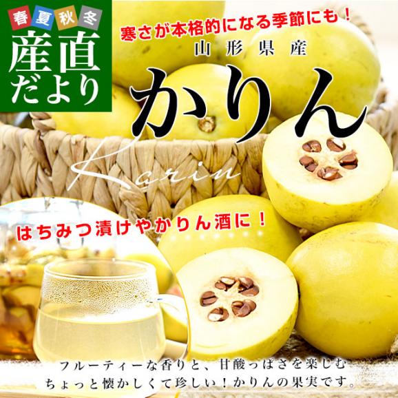 山形県産 かりん 約4キロ 秀品以上 LからMサイズ (12玉から16玉入り) 送料無料 花梨 カリン02