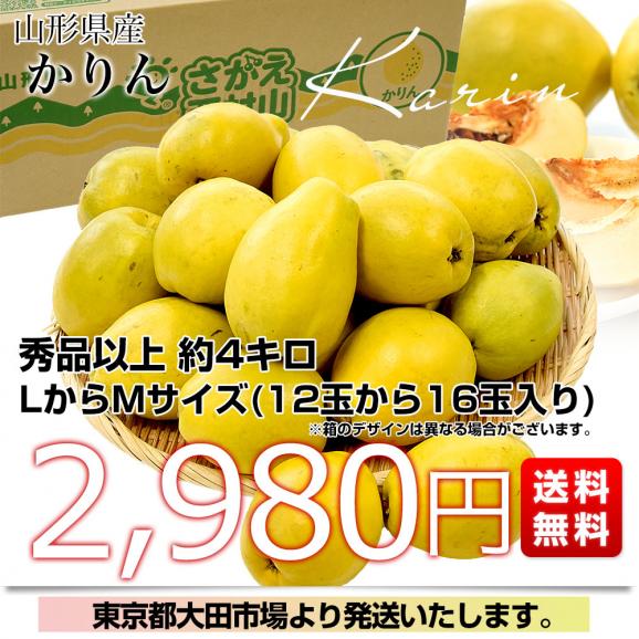 数量限定セール  山形県産 かりん 約4キロ 秀品以上 LからMサイズ (12玉から16玉 果物