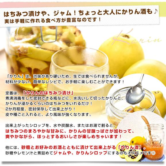 山形県産 かりん 約4キロ 秀品以上 LからMサイズ (12玉から16玉入り) 送料無料 花梨 カリン05