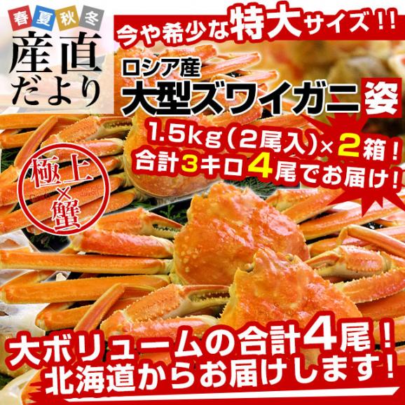【新年特別価格】北海道より直送 高級ズワイガニ姿 大型サイズ 山盛り 1.5Ｋキロ（2尾入り）&times;2箱セット （合計3キロ4尾） 送料無料 ズワイ カニ かに 蟹 カニみそ02