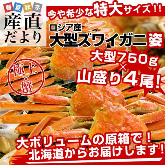 北海道より直送 高級ズワイガニ姿　特大サイズ 山盛り 約3キロ（750g×4尾）送料無料 ズワイ カニ かに 蟹 ギフト02
