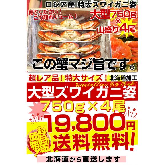 北海道より直送 高級ズワイガニ姿　特大サイズ 山盛り 約3キロ（750g×4尾）送料無料 ズワイ カニ かに 蟹 ギフト03