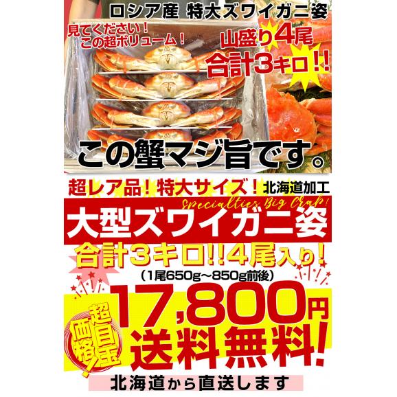 北海道より直送 高級ズワイガニ姿 大型サイズ 山盛り 合計3キロ(4尾入り)送料無料 ズワイ カニ かに 蟹 カニみそ03