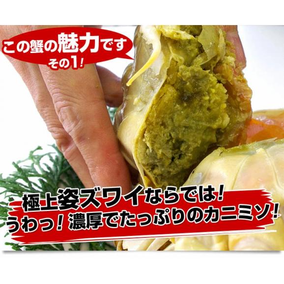 北海道より直送 高級ズワイガニ姿　特大サイズ 山盛り 約3キロ（750g×4尾）送料無料 ズワイ カニ かに 蟹 ギフト05