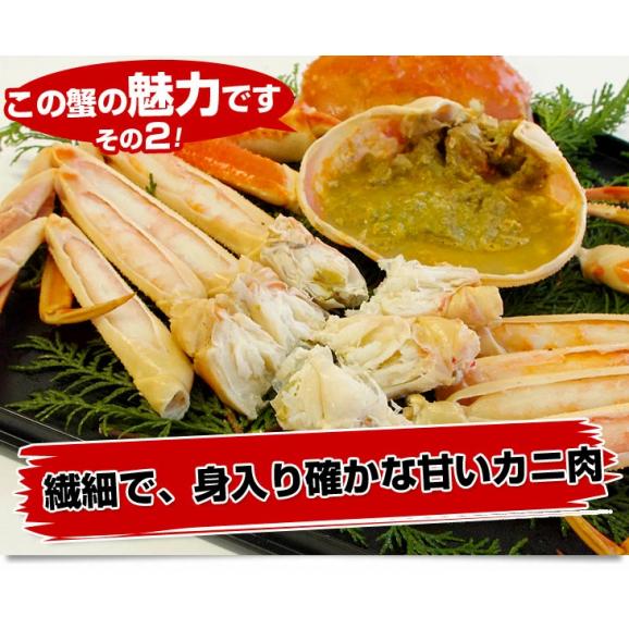 北海道より直送 高級ズワイガニ姿　特大サイズ 山盛り 約3キロ（750g×4尾）送料無料 ズワイ カニ かに 蟹 ギフト06