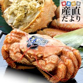 北海道より直送 北海道産 浜ゆで 毛ガニ 1尾 大型570g前後 送料無料 かに カニ 毛ガニ 毛がに 毛蟹 ギフト