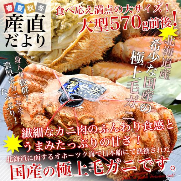 北海道より直送 北海道産 浜ゆで 毛ガニ 1尾 大型570g前後 送料無料 かに カニ 毛ガニ 毛がに 毛蟹 ギフト02