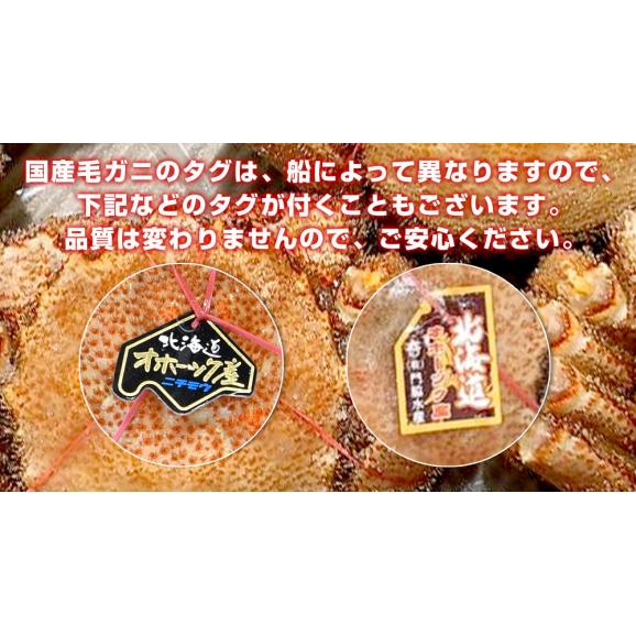 北海道より直送 北海道産 浜ゆで 毛ガニ 1尾 大型570g前後 送料無料 かに カニ 毛ガニ 毛がに 毛蟹 ギフト04