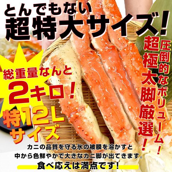 北海道より直送 北海道加工 超大型タラバガニ 超極太カニ脚 特12Lサイズ 1肩2キロ 送料無料 カニ かに足 蟹足03