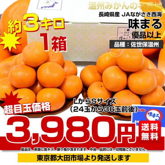 長崎県 JAながさき西海 味まる「品種：佐世保温州」 LからSサイズ 優品以上 約3キロ(24玉から36玉前後）送料無料 ミカン 蜜柑03