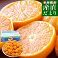 長崎県 JAながさき西海 味まる「品種：佐世保温州」LからSサイズ 優品以上 約5キロ(40玉から60玉前後）送料無料 ミカン 蜜柑