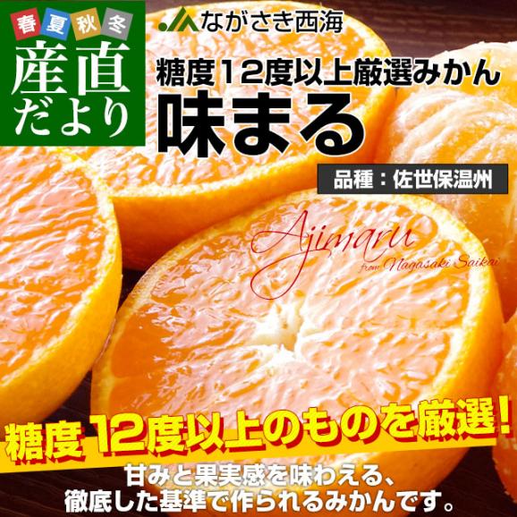 長崎県 JAながさき西海 味まる「品種：佐世保温州」LからSサイズ 優品以上 約5キロ(40玉から60玉前後）送料無料 ミカン 蜜柑02